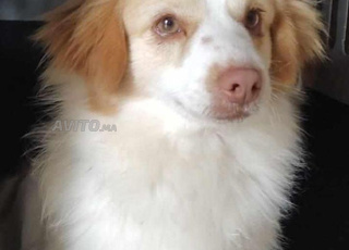 agadir, hay mohammadi 