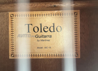 Guitare acoustique Toledo avec housse