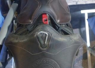 118 طريق صفرو فاس