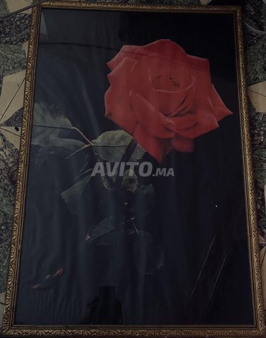 Tableau “Rose Rouge” avec cadre doré — 93×62 cm