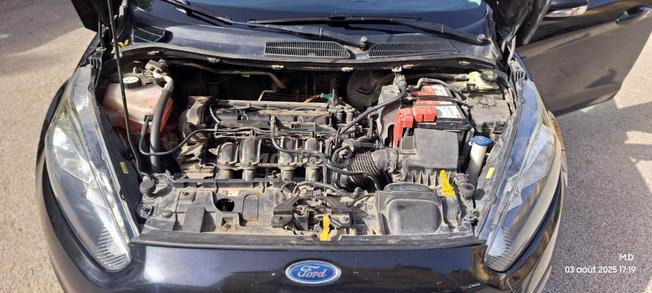 ford fiesta trinde