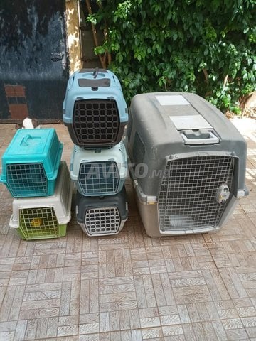 Vends Cages de Transport/Soins pour Animaux