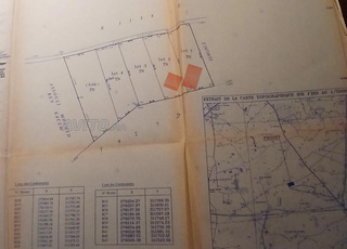 Deux Terrains à had soualem 