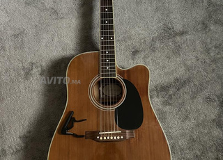 acoustic guitar