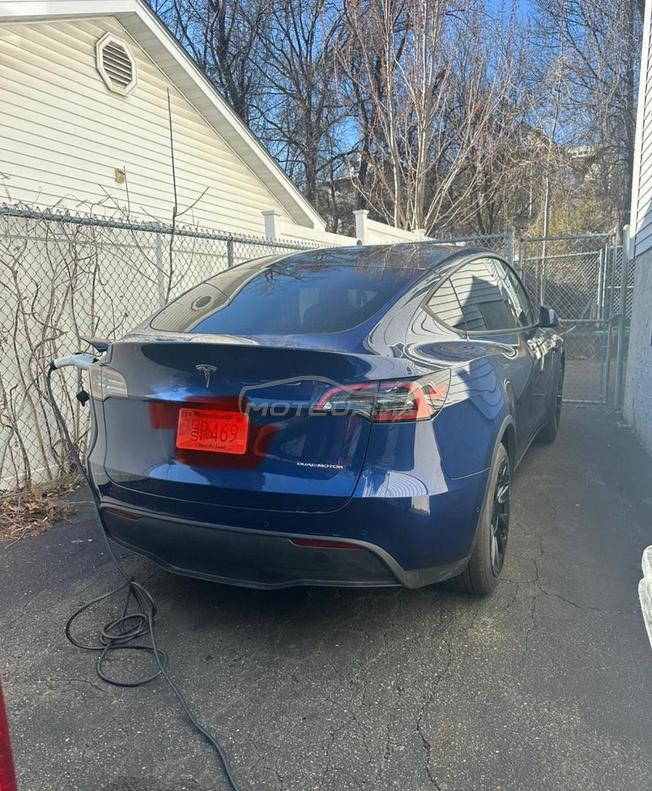 Tesla USA Model Y AWD Long Range Automatique 2021