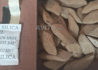 عود القماري الأصلي