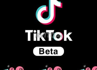 متوفر حسابات تيك توك بيطا 