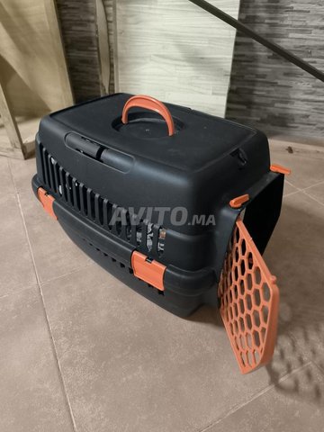 Cage de transport pour chats et chiens