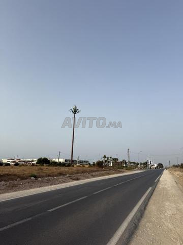3 hectares lotis zone villa a vendre  - 2
