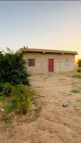 أربعة هكتارات محفظة منزل وبئر ودلاح