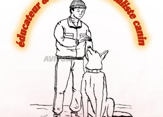 dresseur¹ de chiens 