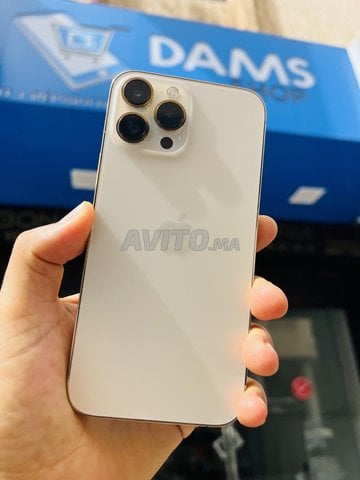 iPhone 13 Pro max 256G