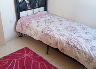 احسن الاحياء