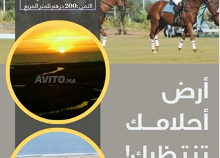 Terrain à vendre, touristique, près de la ville d'Assilah