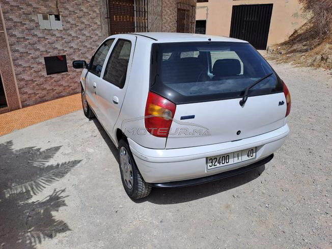 palio  