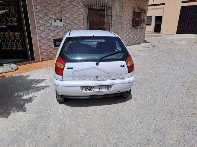 palio  