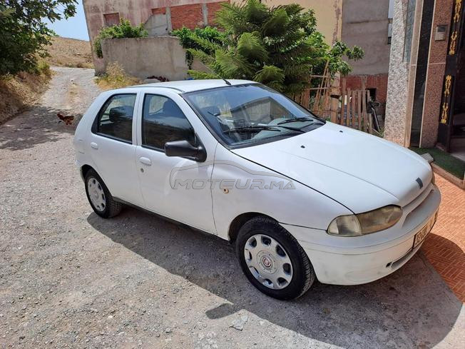 palio  