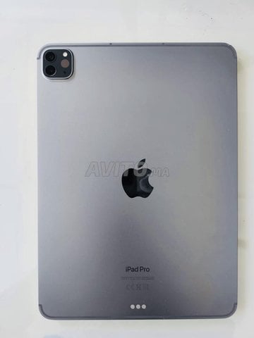 iPad Pro-M2-4génération-256Go🔋100