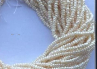 كنبيعالجوهرالحور