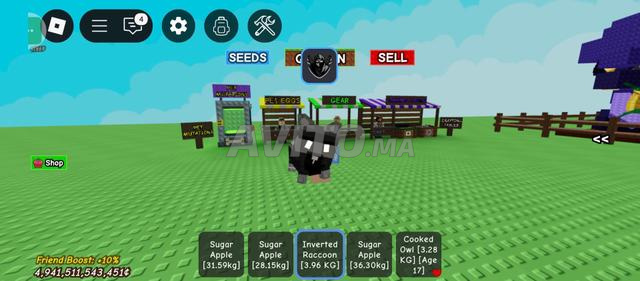 raccoon grow a garden 