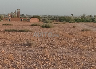 Terrain à vendre d'une superficie de 19000m sur la route de Fès à 20 km