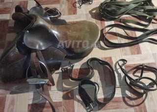 sellerie de cheval 🐴 complete  