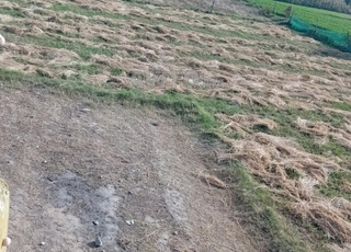 مدخل الجديدة طريق مراكش