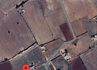 terrain titrè a Bir jdid