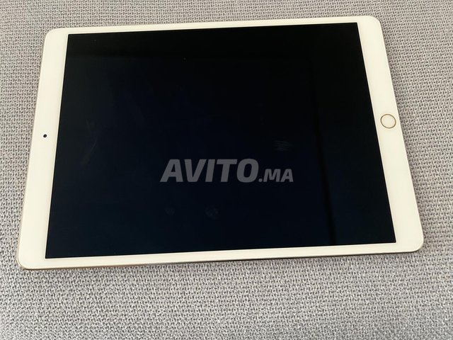 ipad pro 10.5 256gb 4g