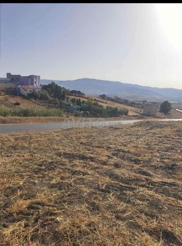 ارض فلاحية محفظة للبيع مساحتها 1030 متر مربعبعد.