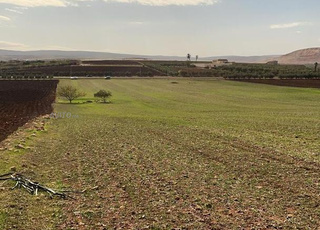 Terrain agricole à vendre sur la route nationale, propice à l'agriculture