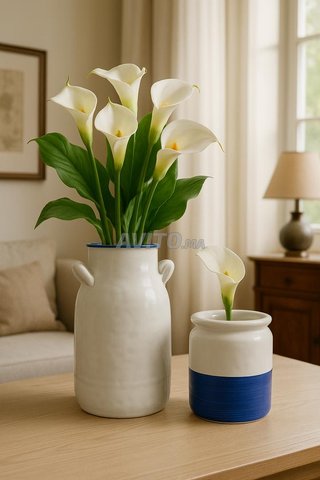 deux vases porceléne 