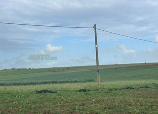 ارض للبيع  5000 متر قريبة الجديدة ب 20كلمتر 