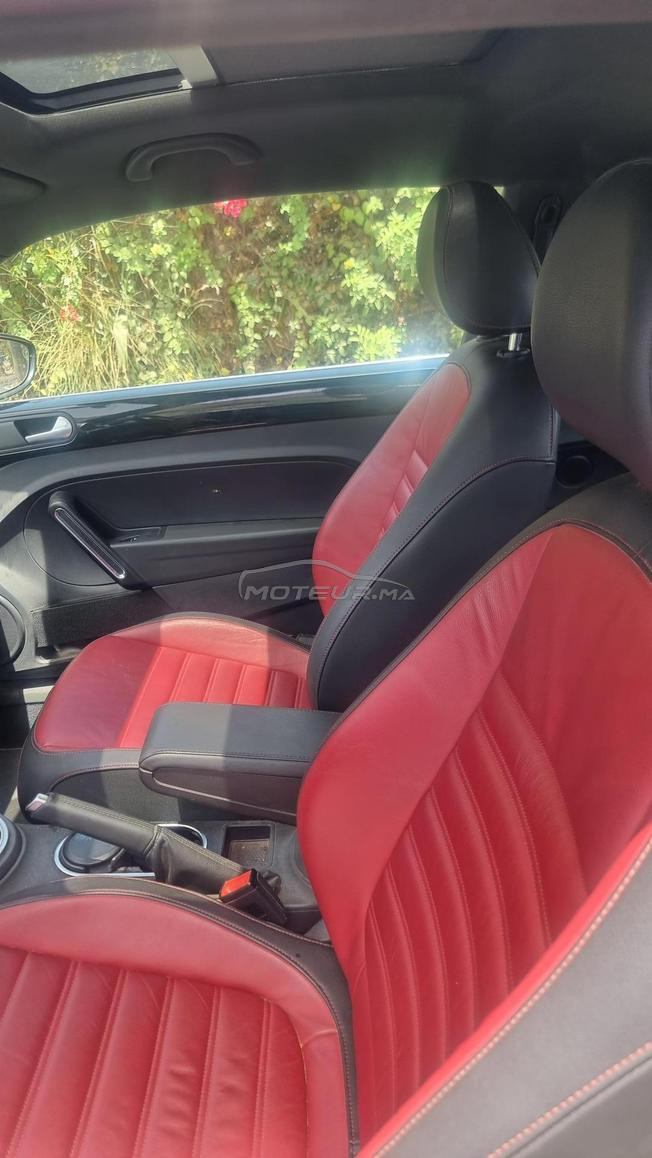 Belle coccinelle automatique 2020