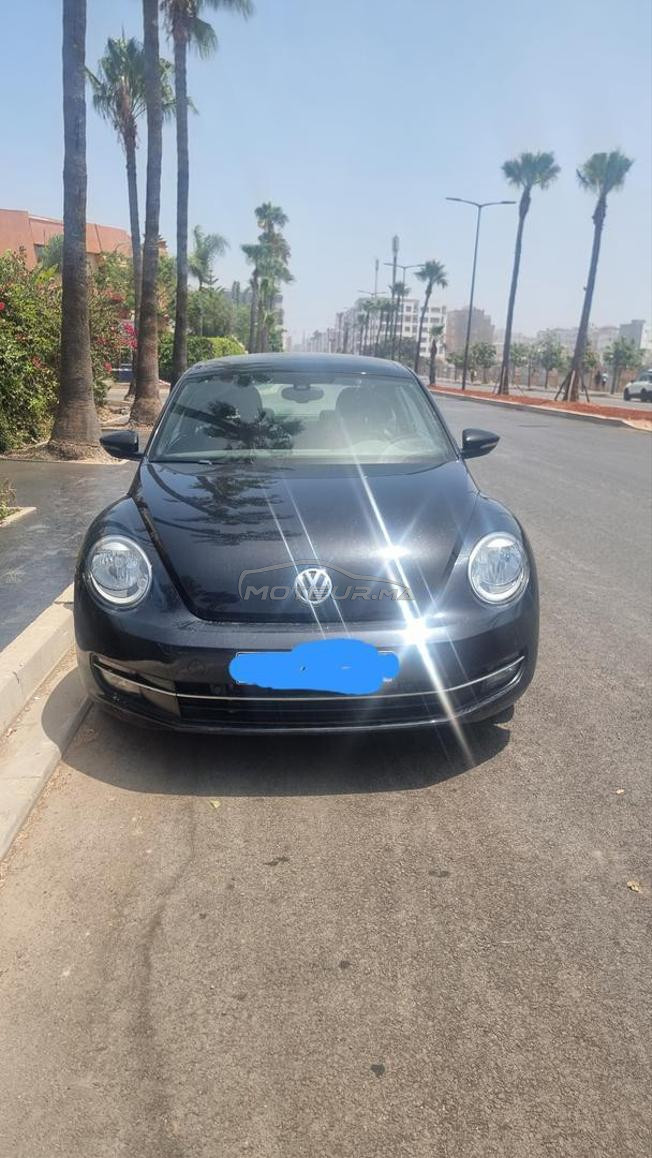 Belle coccinelle automatique 2020