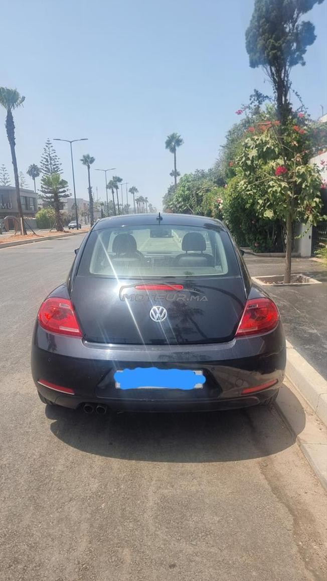 Belle coccinelle automatique 2020