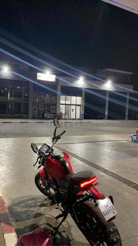 cimatti monster evo3 2023 trés bon - 2