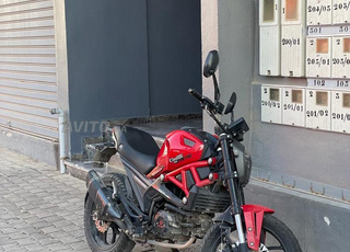 cimatti monster evo3 2023 trés bon