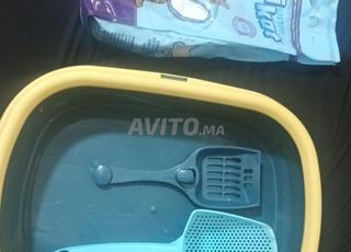 bole et sable de litière 