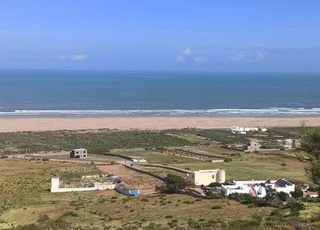 محفظة تيتري 