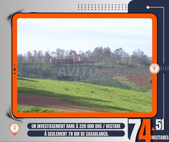 Ferme titrée à vendre (Benslimane – Sidi Bettache) - 2
