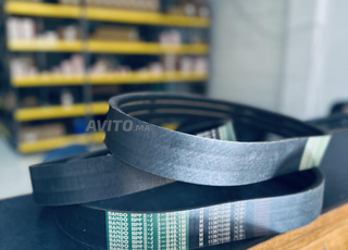 Courroie triple denté Isuzu 