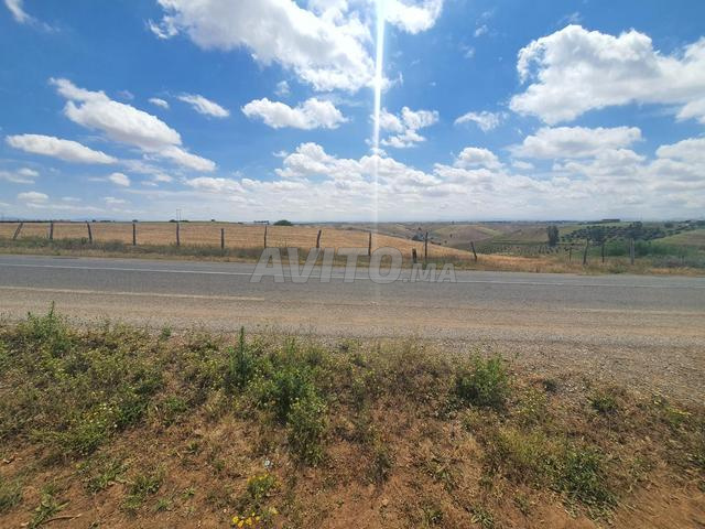 super terrain agricole titré à vendre - 2