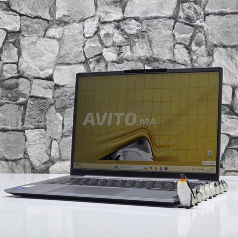 LENOVO ThinkBook 14 G6 / i5 13eme génération