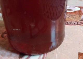 عسل طبيعي الزكوم من قرى جبال مدينة أزيلال