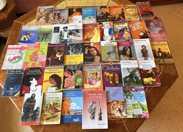 Lot de 40 romans en très bon état.