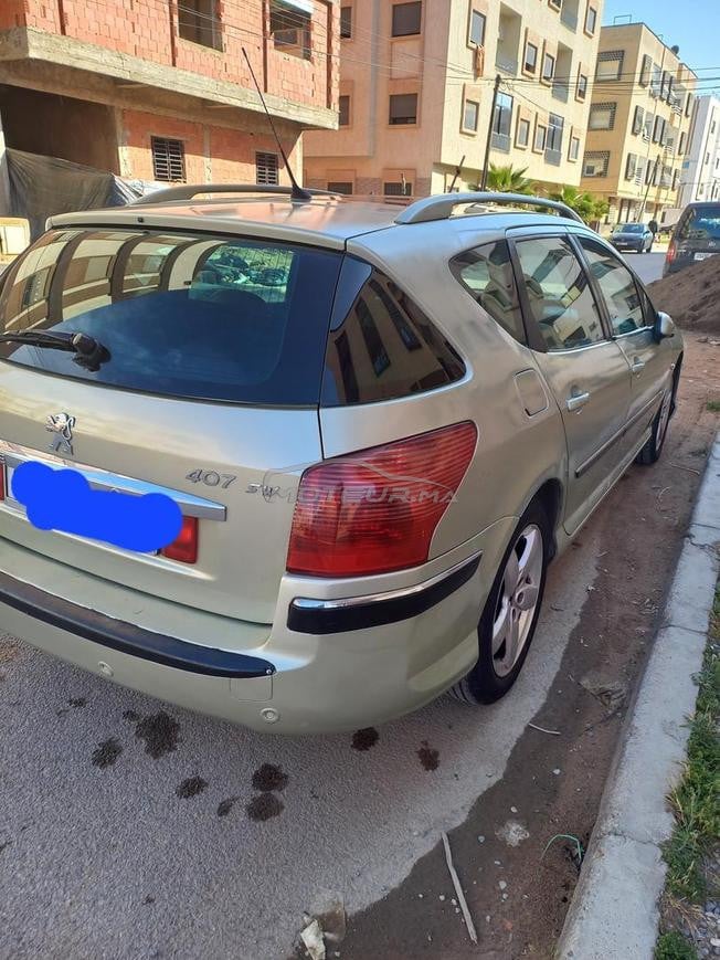 Peugeot407