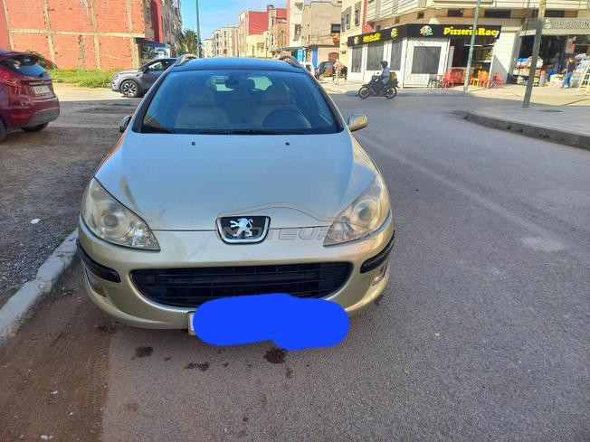 Peugeot407