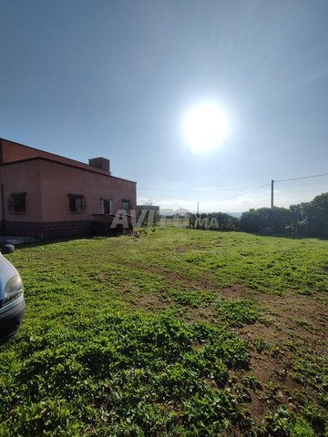 Vendre terrain et maison 