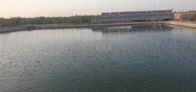 ferme agricole avec villa meublée  - 2